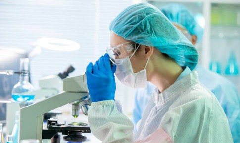 Thu nhập ngành Y tế – Dược nhìn từ dữ liệu thị trường lao động năm 2025