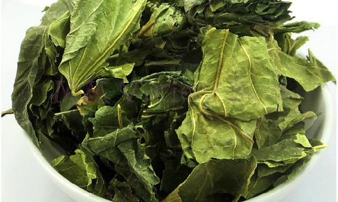 3 bài thuốc từ lá dâu tốt cho người bệnh tiểu đường