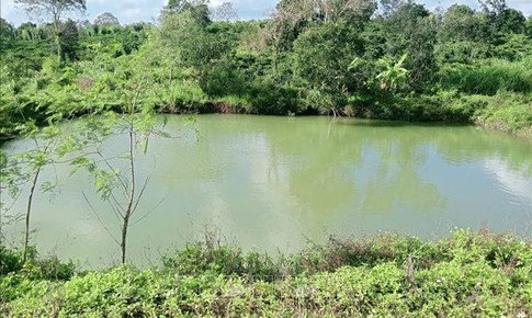 Rủ nhau đi tắm hồ, 3 em nhỏ bị đuối nước thương tâm