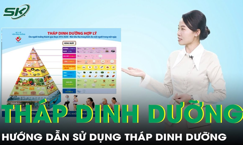 Hướng dẫn chi tiết c&#225;ch &#225;p dụng Th&#225;p Dinh dưỡng