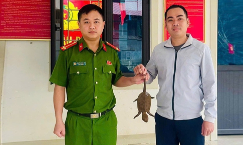 Người d&#226;n miền T&#226;y Nghệ An li&#234;n tiếp giao nộp động vật hoang d&#227; qu&#253; hiếm