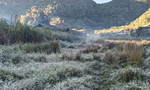 Sương m&#249; phủ trắng quốc lộ, băng gi&#225; xuất hiện ở v&#249;ng bi&#234;n Nghệ An