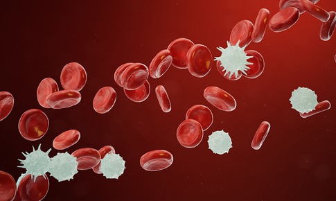 Lộ diện cơ chế né miễn dịch tinh vi của ung thư tế bào hắc tố