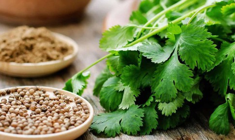 5 loại thực phẩm giúp thận lọc độc tố hiệu quả