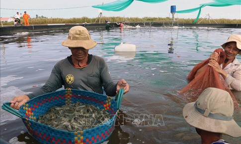 Quy định mới về đối tượng không chịu thuế giá trị gia tăng