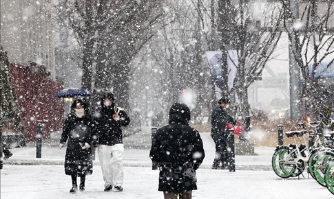 H&#224;n Quốc: Ban bố cảnh b&#225;o thảm họa do tuyết rơi d&#224;y đặc