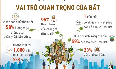 Ng&#224;y Đất Thế giới 5/12: Vai tr&#242; quan trọng của đất