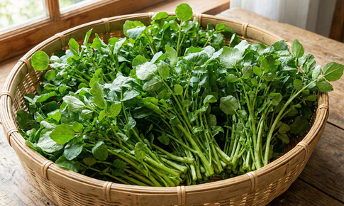 Rau cải xoong có tác dụng gì?