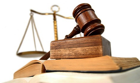 Để th&#250; nu&#244;i g&#226;y thương t&#237;ch cho người kh&#225;c bị phạt đến 3 triệu đồng