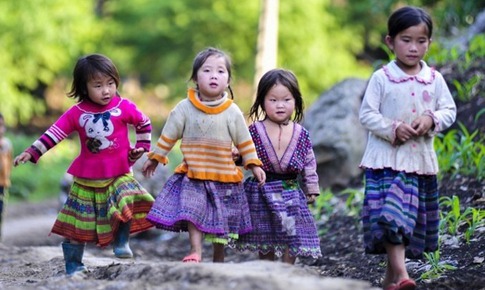 Đề xuất bố tr&#237; 10–12% kinh ph&#237; hằng năm cho bổ sung  dinh dưỡng v&#224; chống b&#233;o ph&#236;, thấp c&#242;i