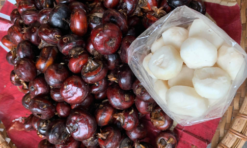 Củ năng (củ m&#227; thầy) c&#243; t&#225;c dụng g&#236;?