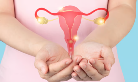 Dấu hiệu kh&#244;ng rụng trứng chị em n&#234;n biết