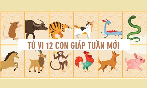 Tử vi tuần mới 12 con gi&#225;p từ 8- 14/12: M&#249;i tiến triển, M&#227;o đ&#243;n tin vui
