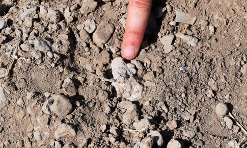 H&#243;a thạch b&#224;n ch&#226;n 3,4 triệu năm tuổi c&#243; thể viết lại lịch sử tiến h&#243;a lo&#224;i người