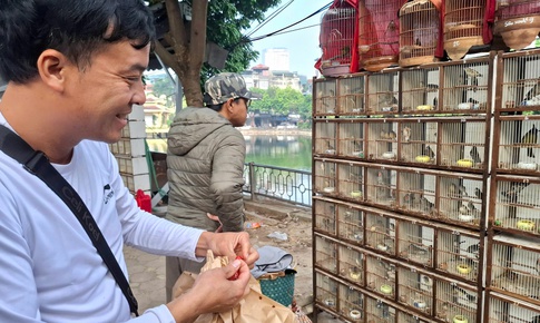 Chợ của người mê chim ở Hà Nội có gì lạ?