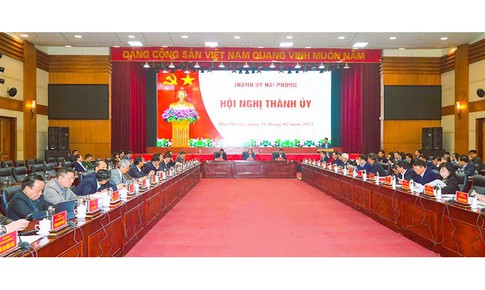 Nhiều c&#225;n bộ, l&#227;nh đạo thuộc Th&#224;nh uỷ Hải Ph&#242;ng quản l&#253; xin nghỉ hưu trước tuổi