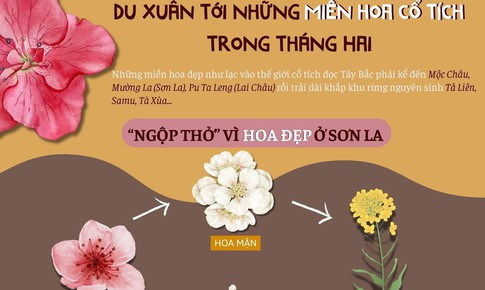 Du Xu&#226;n th&#225;ng Hai: Gợi &#253; một số địa điểm ngắm hoa