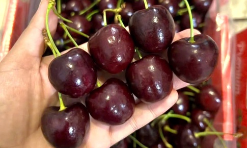 Cherry gi&#225; rẻ &#39;giật m&#236;nh&#39; b&#224;y b&#225;n khắp nơi, chuy&#234;n gia n&#243;i g&#236;?