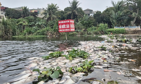 Thanh H&#243;a: Truy t&#236;m nguy&#234;n nh&#226;n c&#225; chết la liệt tr&#234;n suối Cổ Đam