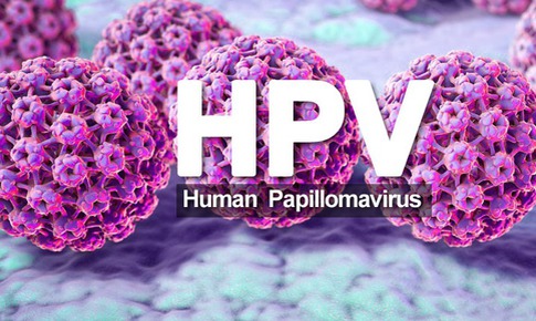 HPV c&#243; g&#226;y ung thư dương vật kh&#244;ng?