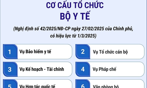 Cơ cấu tổ chức của Bộ Y tế