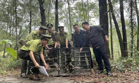 V&#236; sao Huế kh&#244;ng cấp ph&#233;p hội thi chim ch&#224;o m&#224;o?