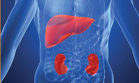 Câu hỏi thường gặp liên quan đến hội chứng gan thận