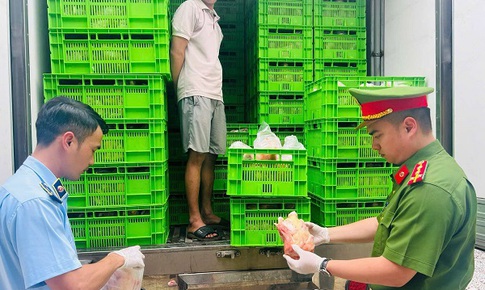 Ngăn chặn khoảng 20 tấn gà ‘bẩn’ chuẩn bị tuồn ra thị trường