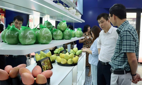 Đại diện Cục Quản lý và Phát triển thị trường trong nước chỉ cách nhận diện trái cây Việt chuẩn
