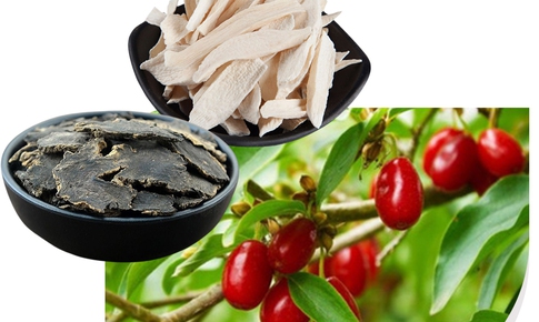 Mách bạn thảo dược hỗ trợ người bị táo bón lâu ngày