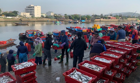 Chợ cá Nghi Thủy 'níu' chân du khách