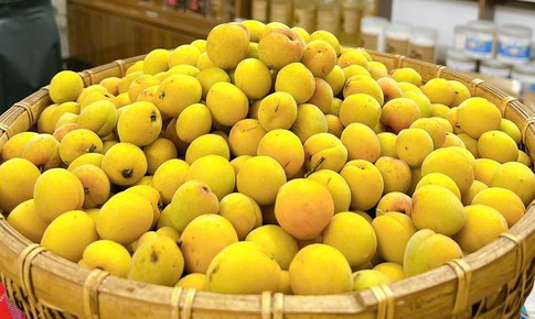 Loại quả vừa thơm vừa bổ vào mùa bán đầy chợ với giá rẻ bèo