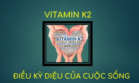 Vitamin K2 -một loại vitamin thiết yếu nhưng dễ bị 'lãng quên'