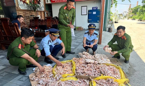 Công ty nhập khẩu thực phẩm sạch nhưng kinh doanh hàng không nguồn gốc