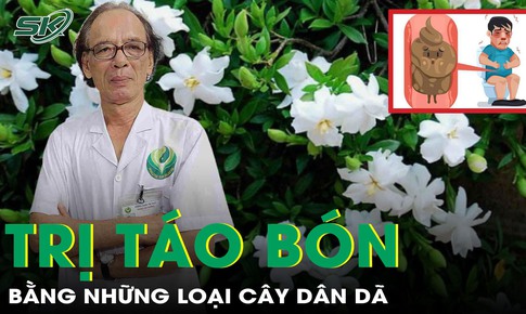 Trị táo bón dễ không ngờ nhờ những loại cây dân dã này