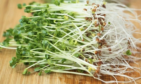 Bí quyết phòng ung thư từ gian bếp nhà bạn