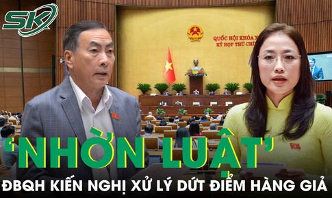 ĐBQH kiến nghị không để quảng cáo sai, hàng giả, hàng nhái ‘nhờn luật’