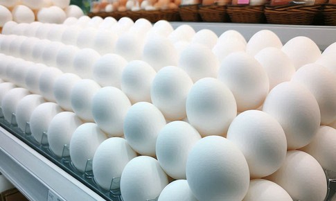 Những lợi ích của ăn trứng vịt vào mùa hè