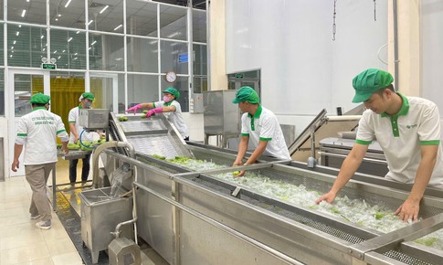 Thaphaco – Đưa dược liệu sạch Việt Nam trở thành lựa chọn an toàn cho sức khỏe người Việt