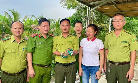 Động vật quý hiếm 'lạc' vào vườn nhà dân
