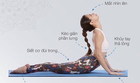 6 lợi ích khi thực hiện tư thế rắn hổ mang hàng ngày vào buổi sáng