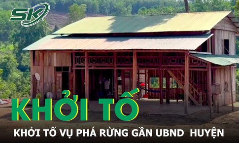 Hạt Kiểm lâm huyện Ia H'Drai, Kon Tum khởi tố vụ phá rừng gần trụ sở UBND huyện