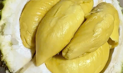 7 nhóm người không nên ăn sầu riêng