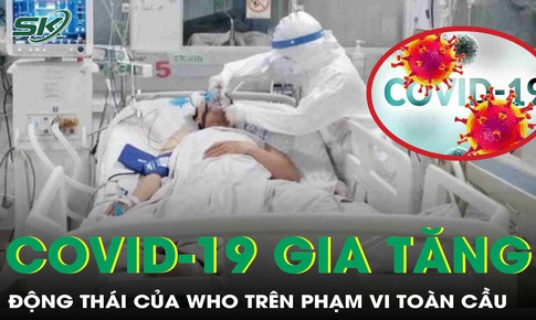 Việt Nam ghi nhận ca COVID-19 tăng trở lại, WHO chưa c&#243; cảnh b&#225;o mới
