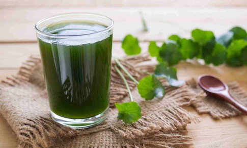 Món ăn bài thuốc hỗ trợ trị rối loạn tiêu hóa mùa hè