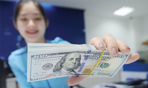 NHNN Khu vực 2 siết chặt cấm mua b&#225;n ngoại tệ tr&#225;i ph&#233;p