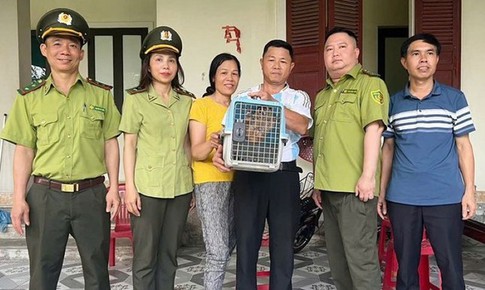 Phát hiện động vật quý hiếm trong vườn nhà