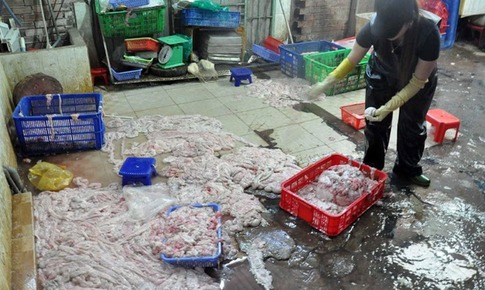 Lòng se điếu: Đặc sản tiền triệu hay nguy cơ từ hóa chất?