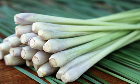 9 lợi ích của củ sả