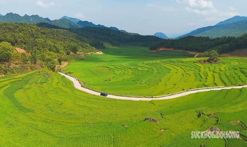 Say đắm sắc xanh mùa lúa non ở Pù Luông